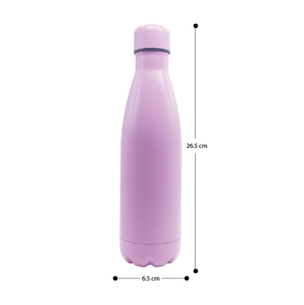 Double Wall Stainless Steel Travel Bottle